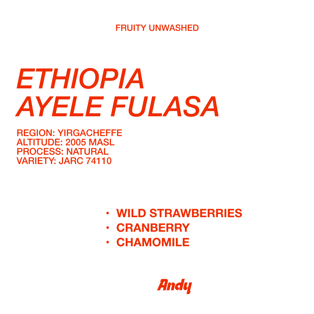 ETHIOPIA Ayele Fulasa, Filter