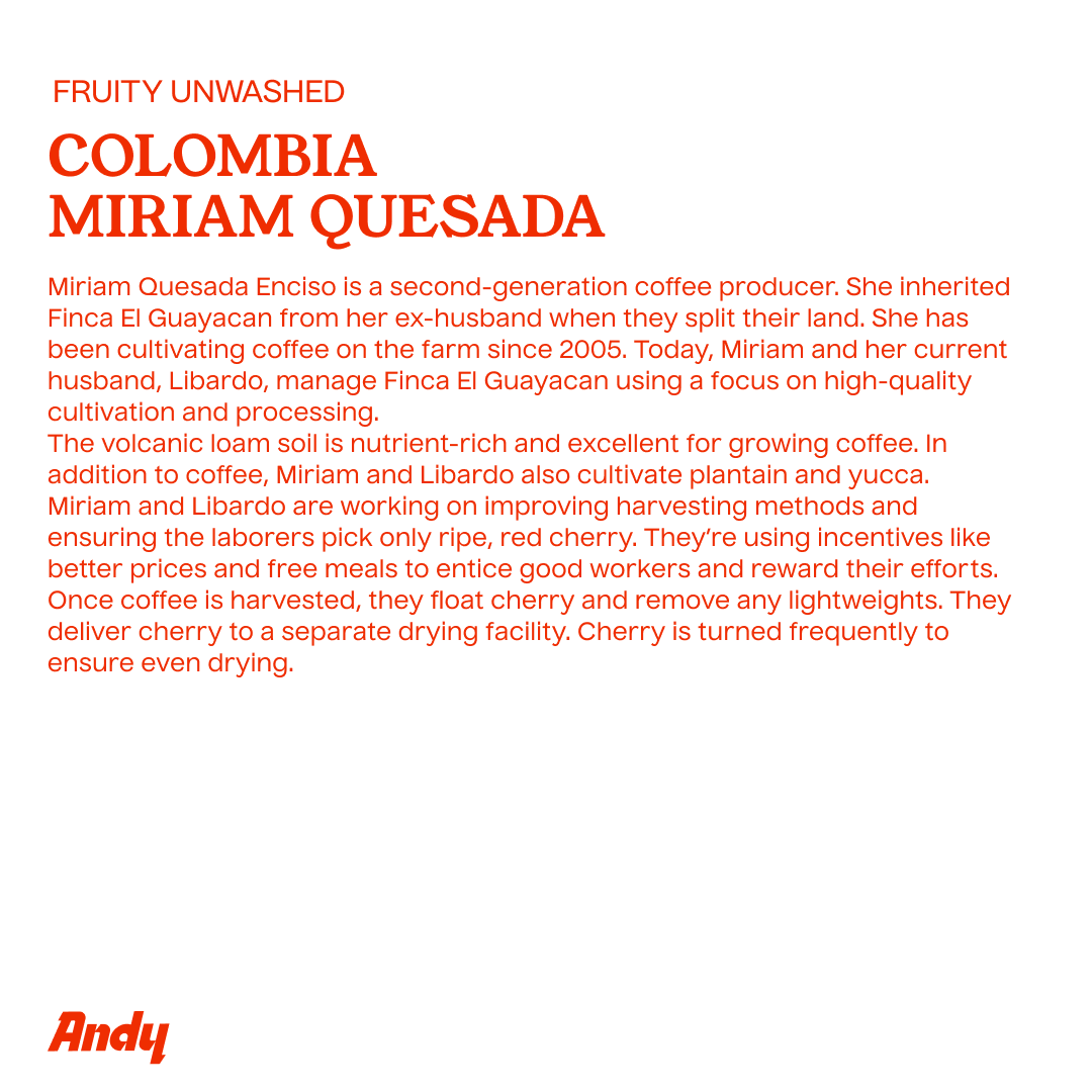 FRUITY UNWASHED, filter roast, Colombia Miriam Quesada