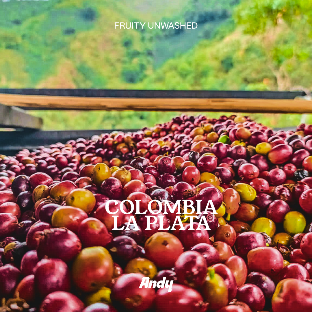 COLOMBIA LA PLATA, Espresso