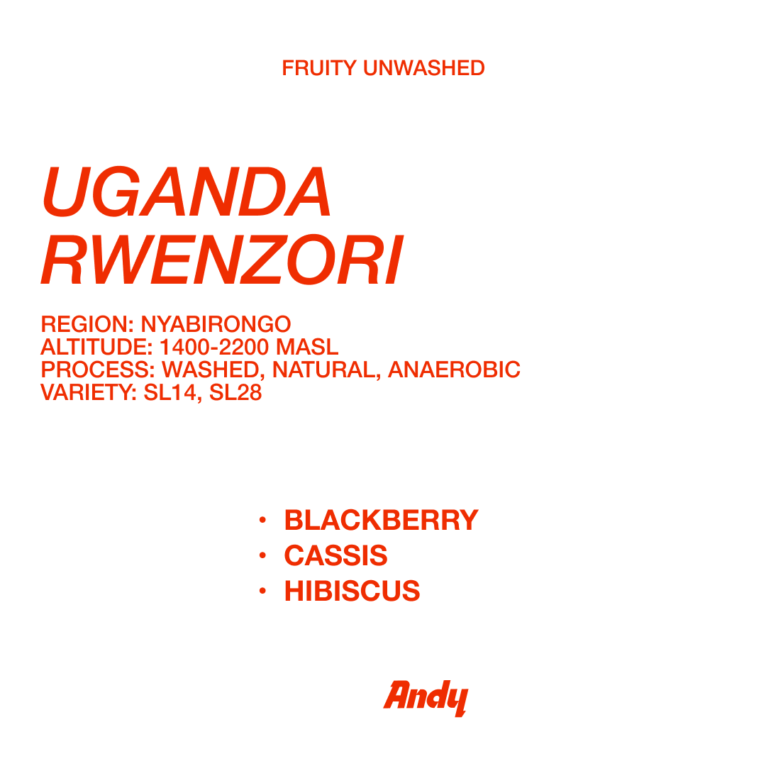 UGANDA RWENZORI, Filter