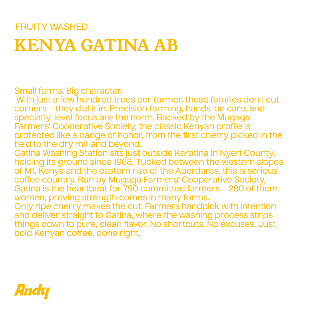 KENYA GATINA AB, Filter