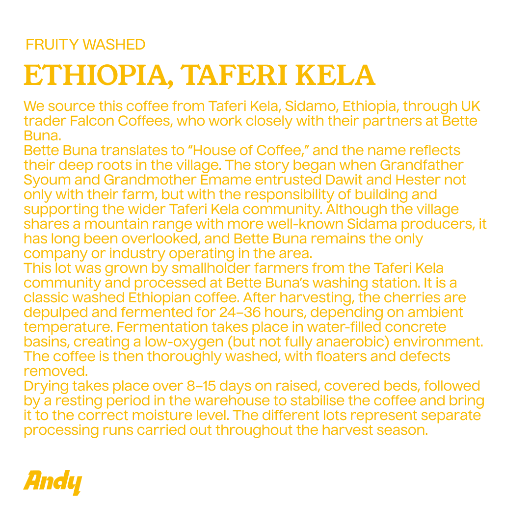 ETHIOPIA TAFERI KELA, Espresso
