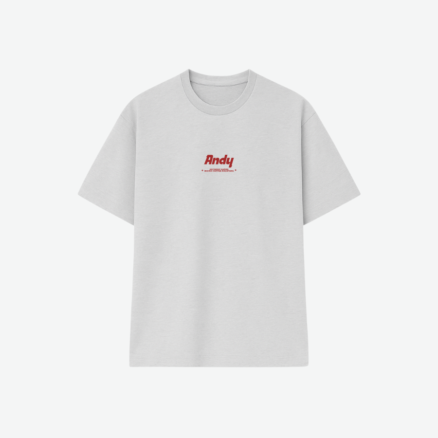 ANDY T-SHIRT grey/burgundy