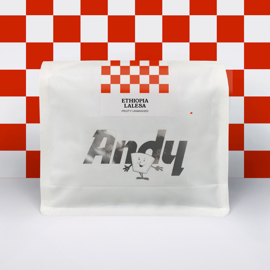 ETHIOPIA LALESA, Filter