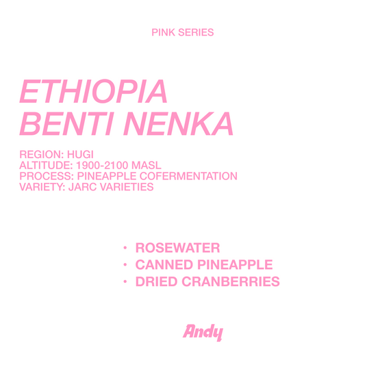 ETHIOPIA BENTI NENKA, Filter