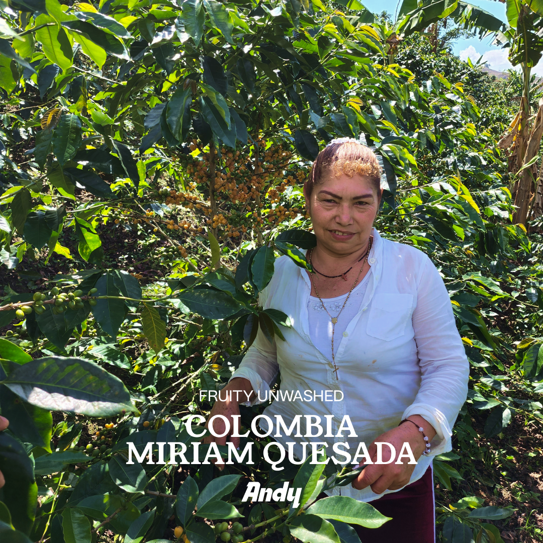 FRUITY UNWASHED, filter roast, Colombia Miriam Quesada