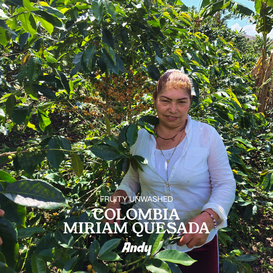 FRUITY UNWASHED, filter roast, Colombia Miriam Quesada