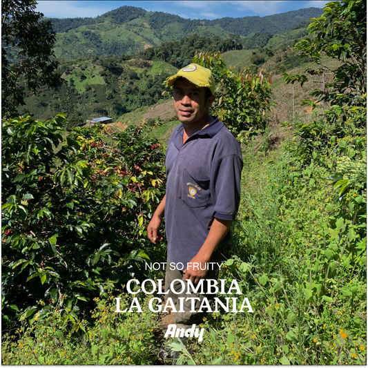 COLOMBIA GAITANIA, Espresso