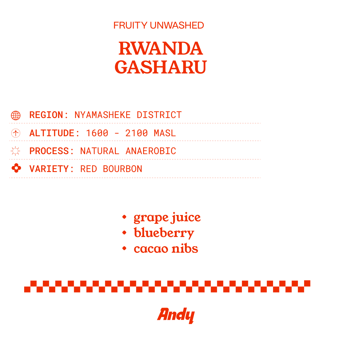 RWANDA GASHARU, Filter