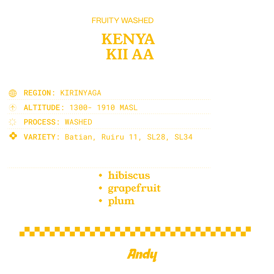 KENYA KII AA , Filter