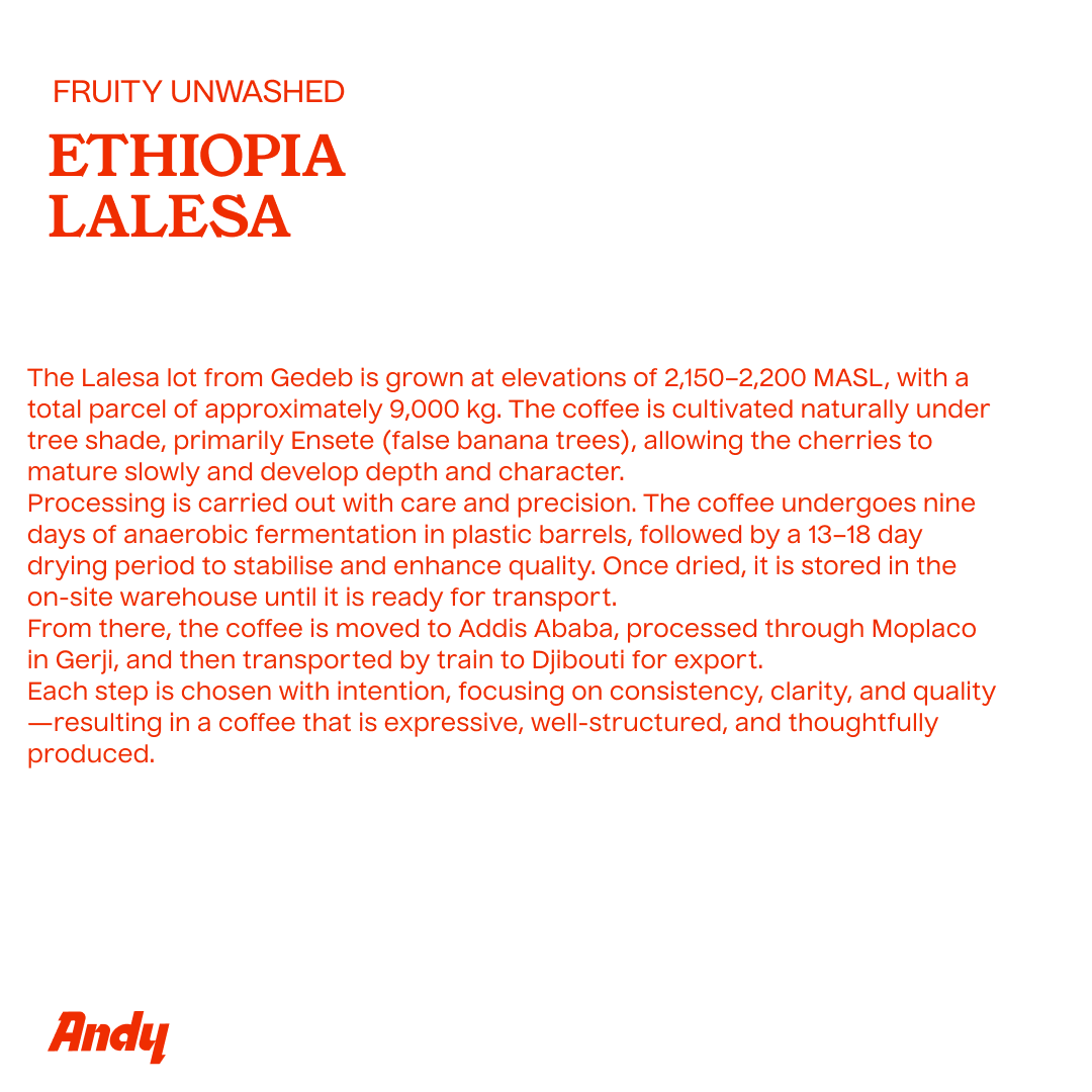 ETHIOPIA LALESA, Filter