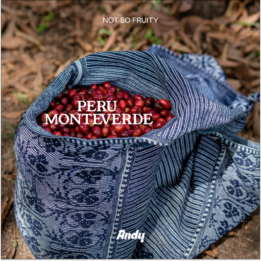 PERU MONTEVERDE, Filter