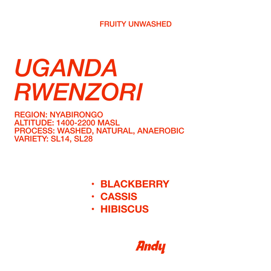 UGANDA RWENZORI, Filter