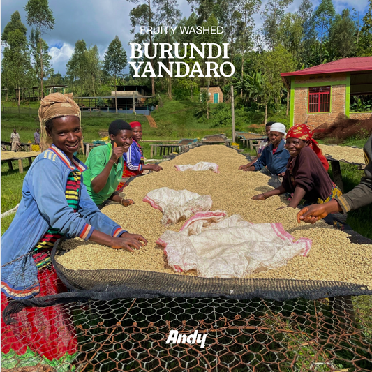 BURUNDI YANDARO, Filter