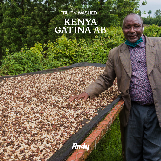 KENYA GATINA AB, Filter